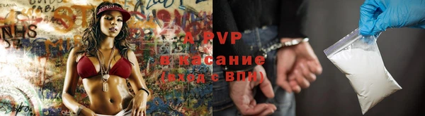индика Беломорск