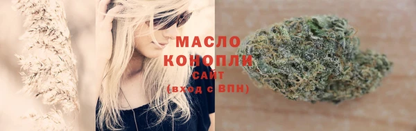 тгк Богородицк