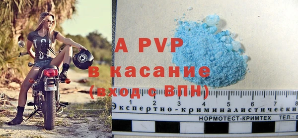 гашик Михайловск