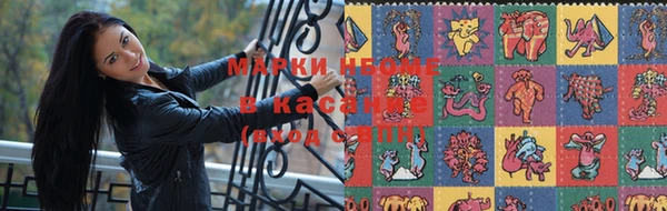 индика Беломорск