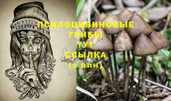 MDMA Михайловка