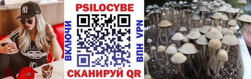 продажа наркотиков Белокуриха Галлюциногенные грибы Magic Shrooms